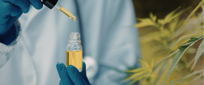 Imagem - Cannabis medicinal no Brasil: Anvisa publica novas RDCs e atualiza regime regulatório do setor